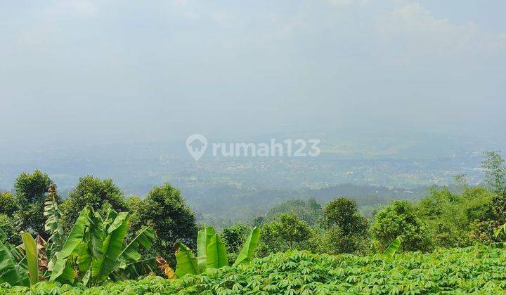 Di Jual Tanah  di Tugujaya, Cigombong luas  6000 Meter BEST VIEW 1