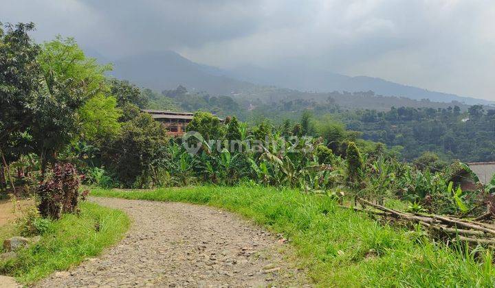 Di Jual Tanah  di Tugujaya, Cigombong luas  6000 Meter BEST VIEW 2