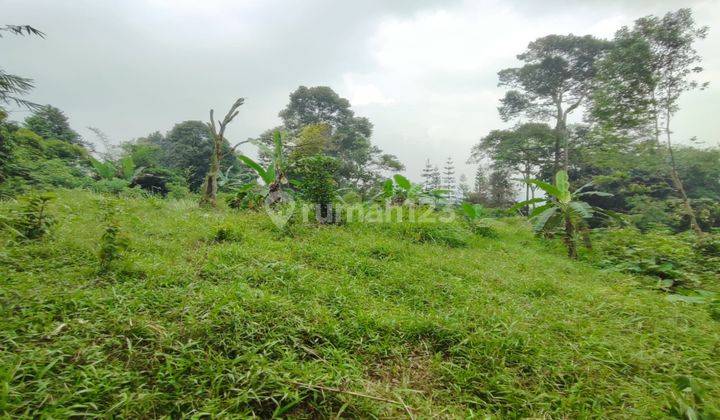 Dijual Tanah di Cijeruk 4000 Meter SHM - Sertifikat Hak Milik 2