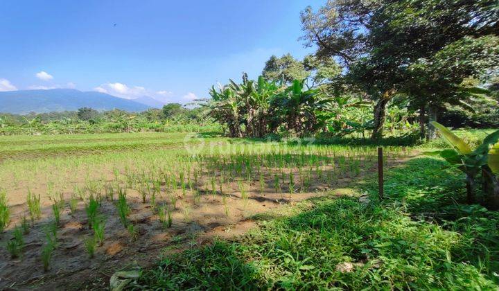  Tanah di Cijeruk bogor, Cijeruk 1,2 Hectare SHM 2