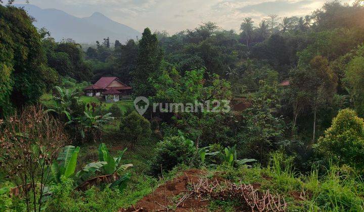  Dijual Tanah Cocok Untuk Vila Luas 2,4 Hectare 2