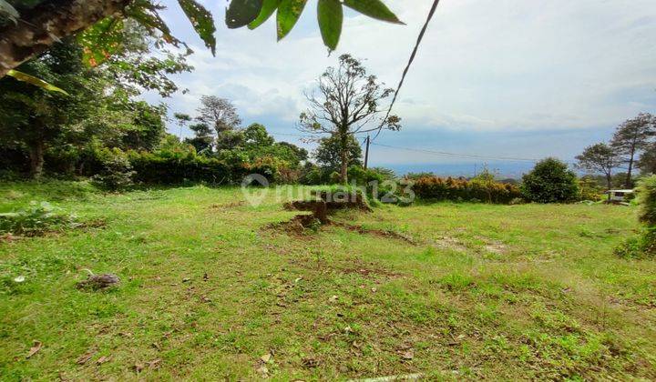  Tanah di Tajur halang, Cijeruk 8000 SHM - Sertifikat Hak Milik 2