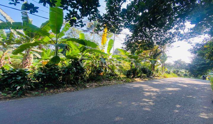  Tanah Pinggir Jalan Tajur halang Cijeruk Luas 1000 SHM 1