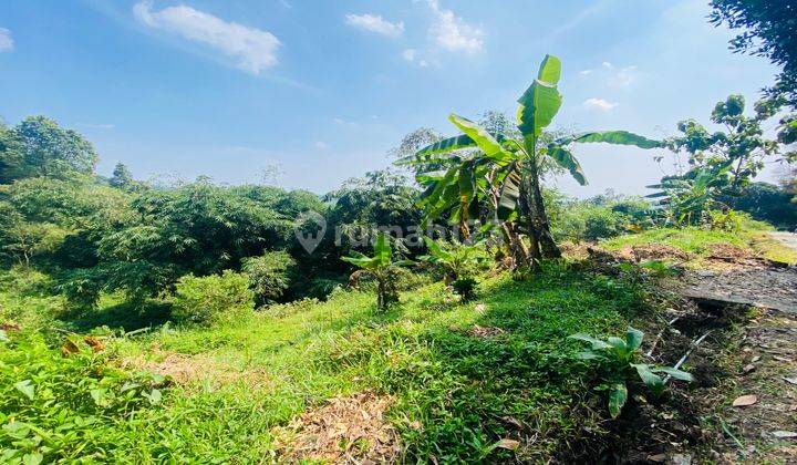  Tanah 400 Meter Di Tapos Cijeruk Bogor  SHM 2