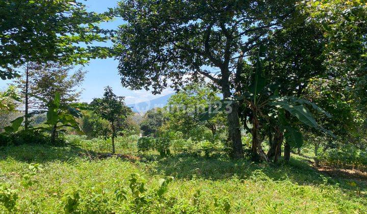 Tanah Dijual Gunung Geulis Nempel Dengan Tol Sumarecon Bogor 2