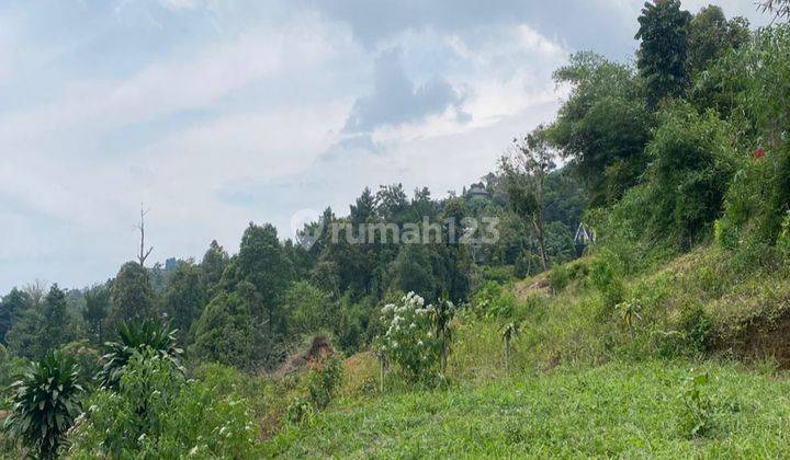 Tanah Di Jual Di Kawasan Desa Tajur Halang Cijeruk Bogor 2