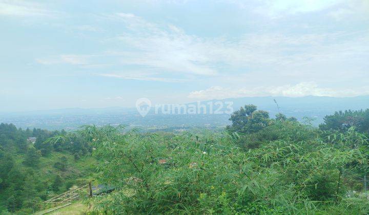 Tanah Di Jual Di Kawasan Desa Tajur Halang Kecamatan Cijeruk 2