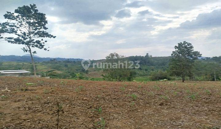 Tanah Di Jual Cepat Dan Murah Di Desa Sukamakmur Kab Bogor 2