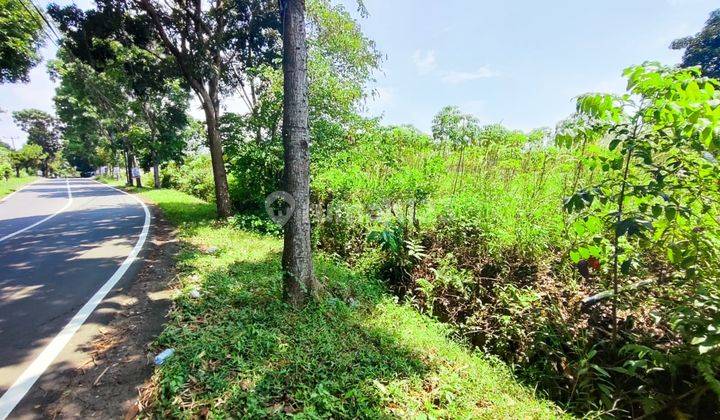 Di Jual Lahan Pinggir Jalan Raya Cijayanti Rainbow Hill 1