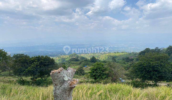 Tanah Dijual Di Desa Tajur Halang, Kecamatan Cijeruk, Bogor 1