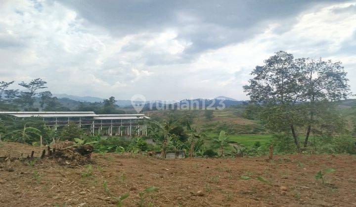 Tanah Di Jual Cepat Dan Murah Di Desa Sukamakmur Kab Bogor 1