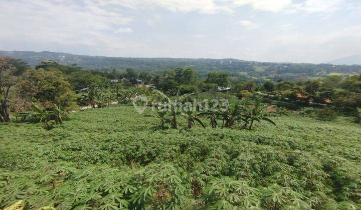 Tanah Di Jual Berlokasi Di Desa Cijayanti Babakan Madang 1