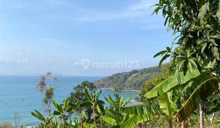 Di Jual Tanah Di Cisolok Sukabumi View Pantai Luas 8 Hectare 2