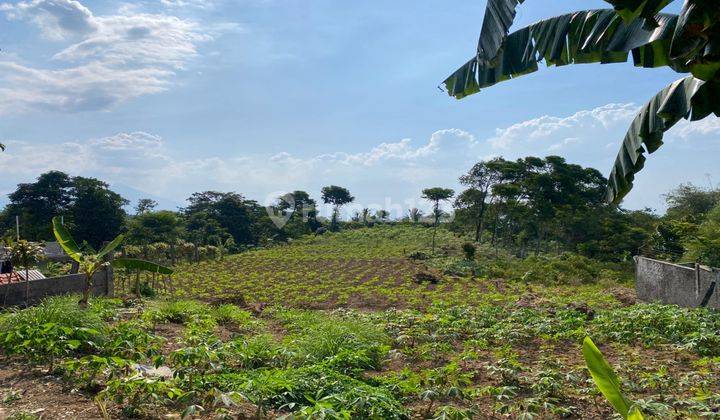 Tanah Di Jual Di Bojong Koneng Sentul, Nempel Km 0 Sepeda 1