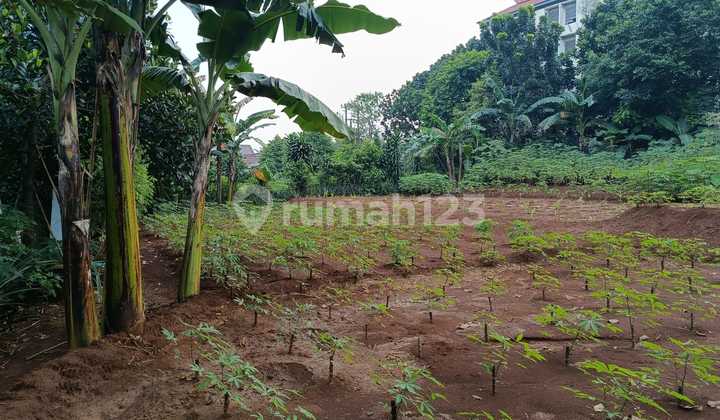 Tanah di Banjaran Pucung Cilangkap Depok Tanah di Banjaran Pucung Cilangkap Depok