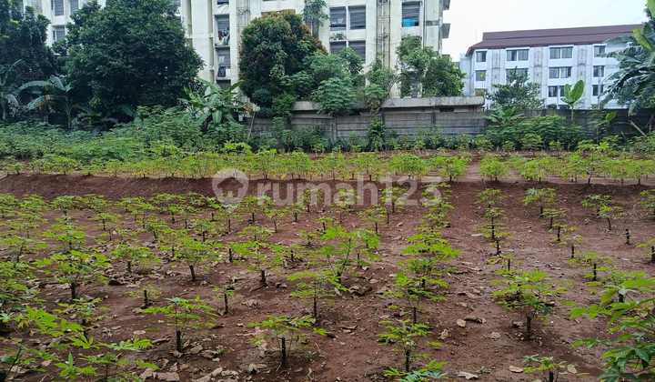 Land in Banjaran Pucung Cilangkap Depok