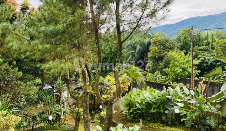 Villa cantik di Cisarua Disewakan tahunan 6
