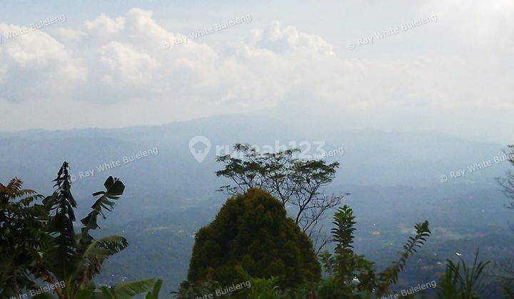 Land For Sale In Munduk 2