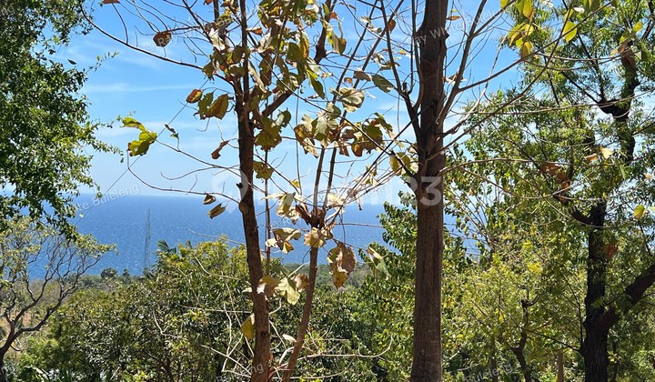 Exclusive Land for Sale – 19,300 sqm of Untapped Potential