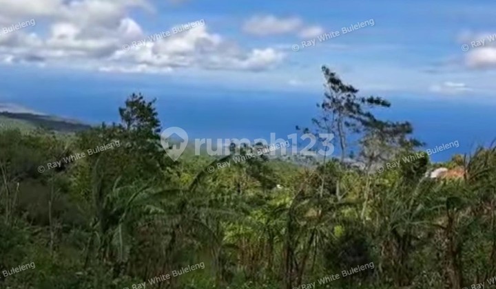 4,750 Sqm Ocean View Land in Selat - Great Investment Opportunity