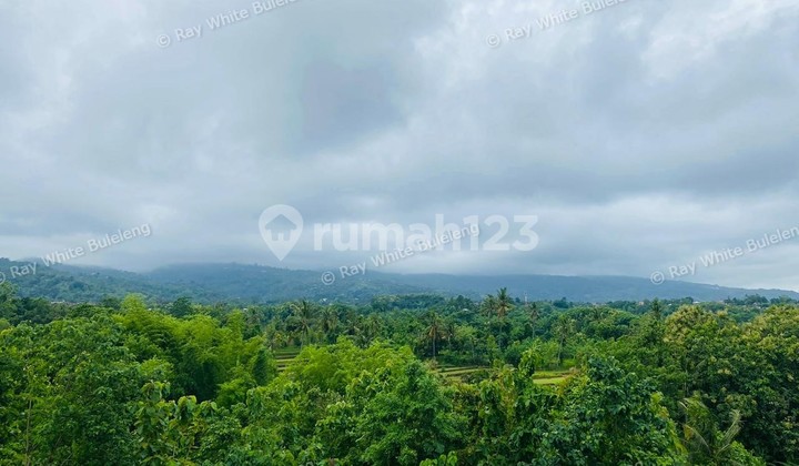 Exclusive 2,625 Sqm Land With Panoramic Ocean & Hills View - Selat, North Bali