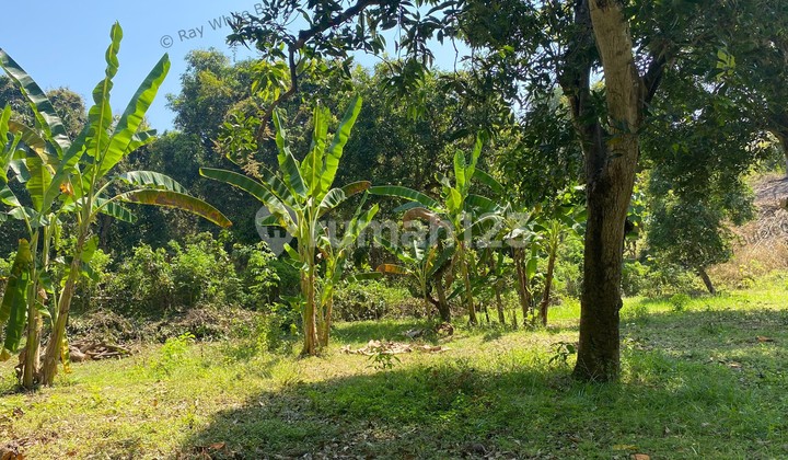Spacious 1,875 sqm Land for Sale in Selat, Buleleng