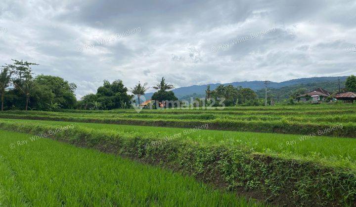 Prime Coastal Land Opportunity With Stunning Sea View And Mountain View 2