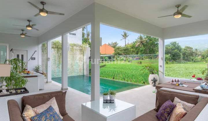 Charming Villa With Stunning Ricefield Views In Lovina For Sale 2