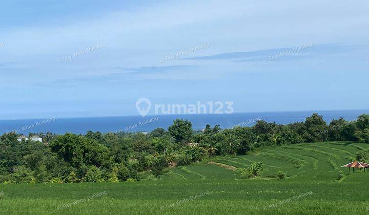 Exceptional Land with Ocean, Rice Field & Mountain Views - Ideal for Development 1