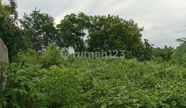 Potential Land - Perfect for Your Dream Villa 1