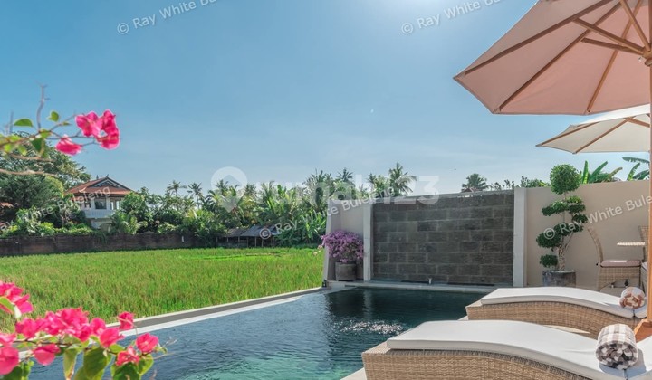 Modern Villa with Breathtaking Rice Field View Modern Villa with Breathtaking Rice Field View