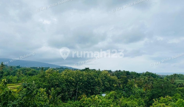 Eksklusif 2,625 M2 Lahan Dengan Panorama Samudra &amp; Bukit - Selat, Bali Utara