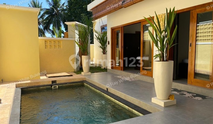 Charming Tropical Villa With Private Swimming Pool In Lovina