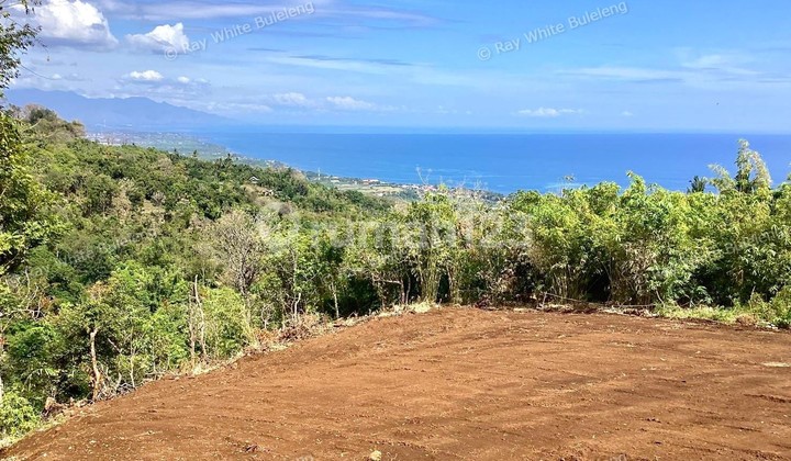 Ocean View Land in Lovina - Perfect for Resort or Private Villa Ocean View Land in Lovina - Perfect for Resort or Private Villa