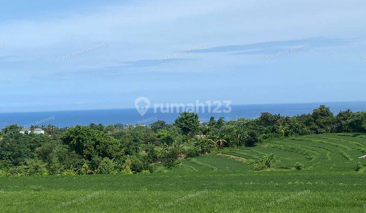 Exceptional Land with Ocean, Rice Field & Mountain Views - Ideal for Development 2