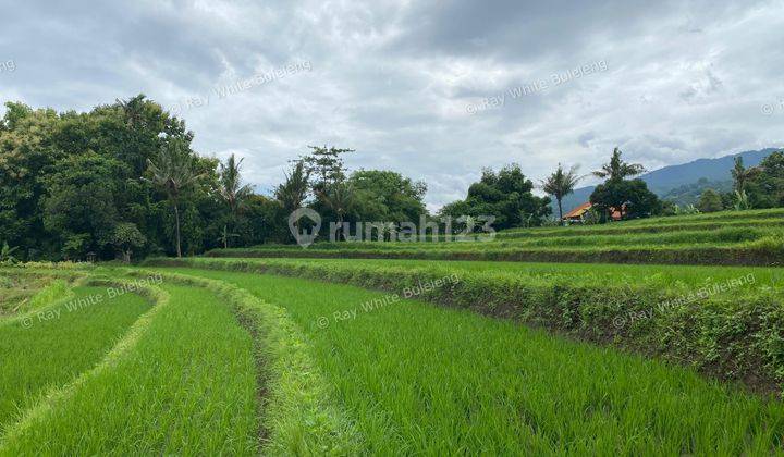 Prime Coastal Land Opportunity With Stunning Sea View And Mountain View 1