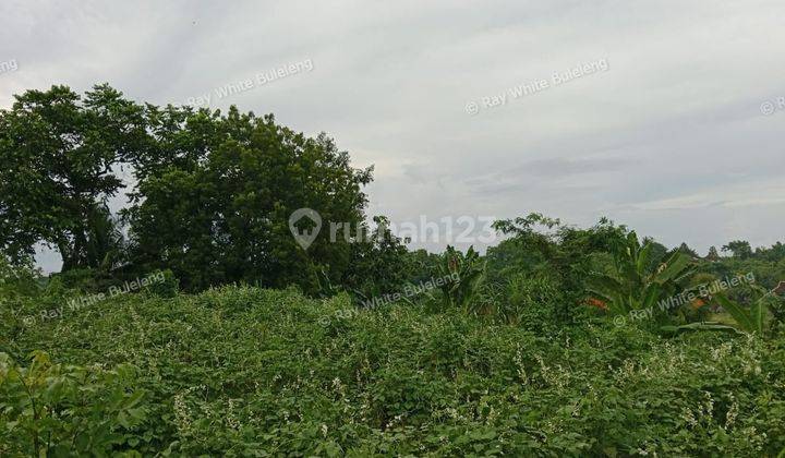 Potential Land - Perfect for Your Dream Villa 2