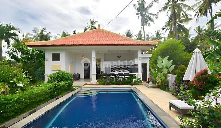 Tropical Modern Freehold Villa For Sale In Lovina 1