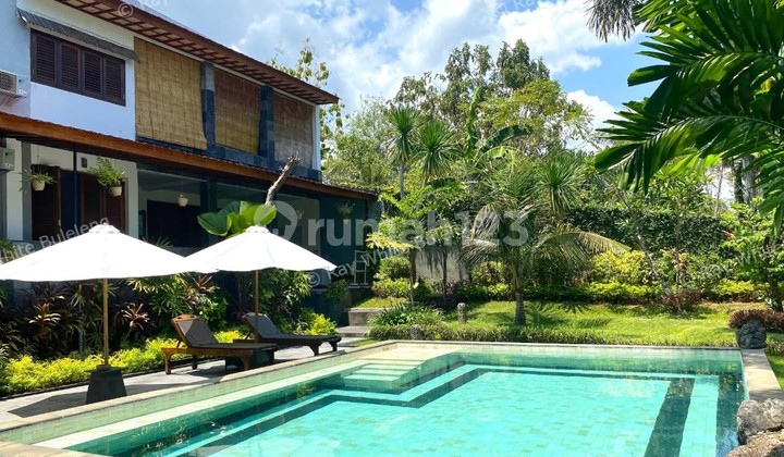 Charming Tropical Villa in Kayu Putih, Lovina