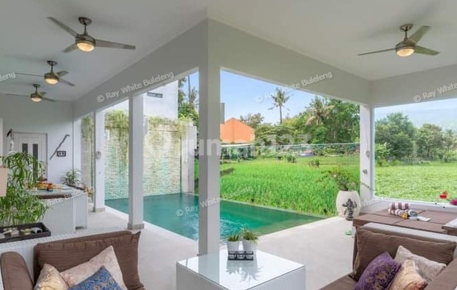 Beautiful Villa with Rice Field View For Sale in Lovina Beautiful Villa with Rice Field View For Sale in Lovina