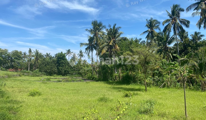 Strategic Freehold Land In Central Lovina, Perfect For Private Villa