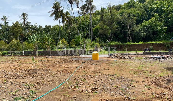 Well-Positioned 18 Are Land Near Lovina's Growing Lifestyle Hub Well-Positioned 18 Are Land Near Lovina's Growing Lifestyle Hub