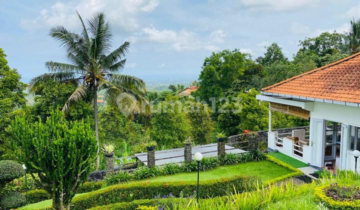 An Exquisite Villa Overlooking The Panji Coastline