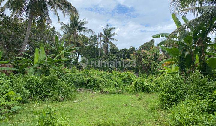 Budget Friendly - Expansive Land Opportunity Close To Lovina 1