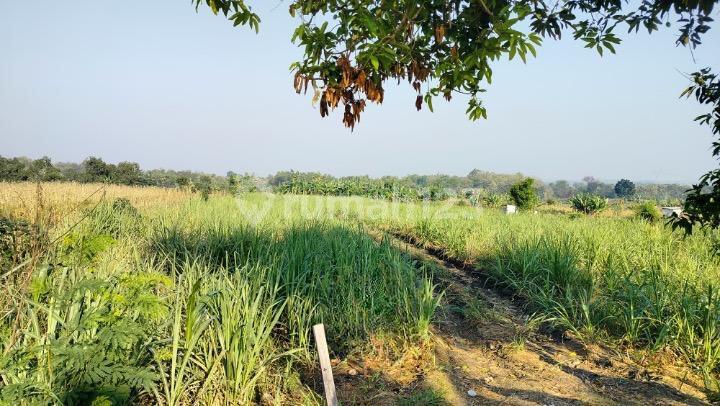 Tanah Industri Siap Pakai - Mojokerto - Jawa Timur