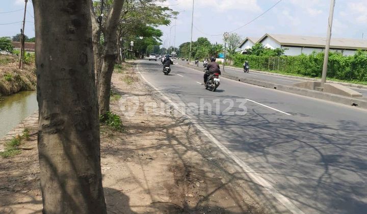 Di Jual Tanah Industri Di Jalan Raya Propinsi Jawa Barat