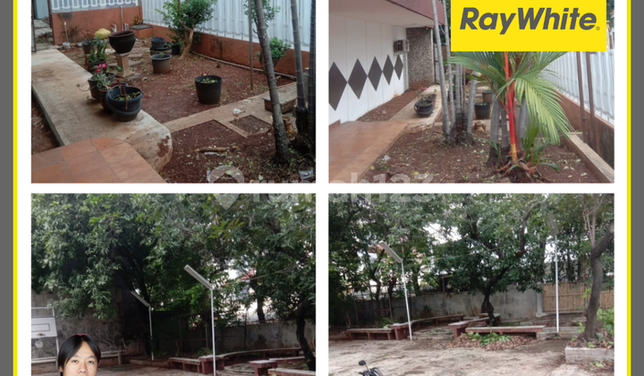 Jl. Kamboja House, Tomang - West Jakarta