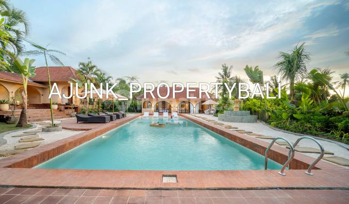 Vila Baru Renovasi Style Spanyol View Sawah, Dekat Pantai Kedungu 1