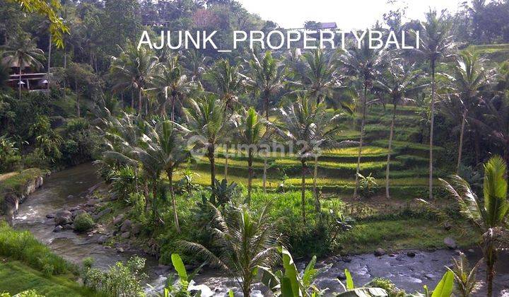 Land Loss Sungai Premium Area, 5 Minutes to Central Ubud 1