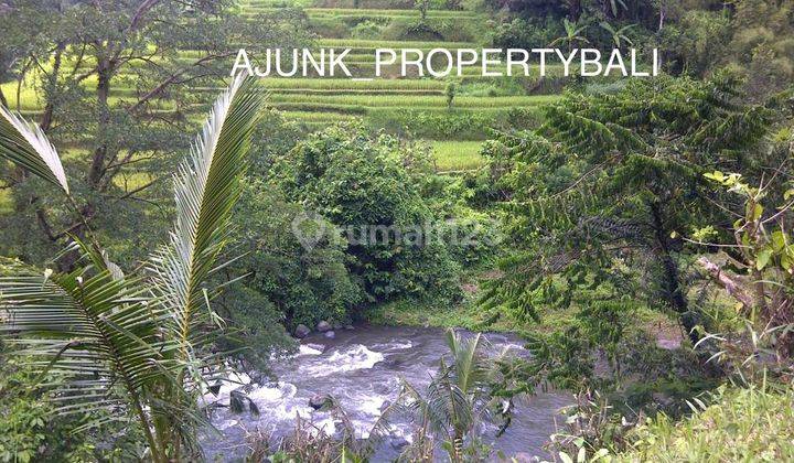 Tanah Loss Sungai Area Premium, 5 Menit Ke Central Ubud 2